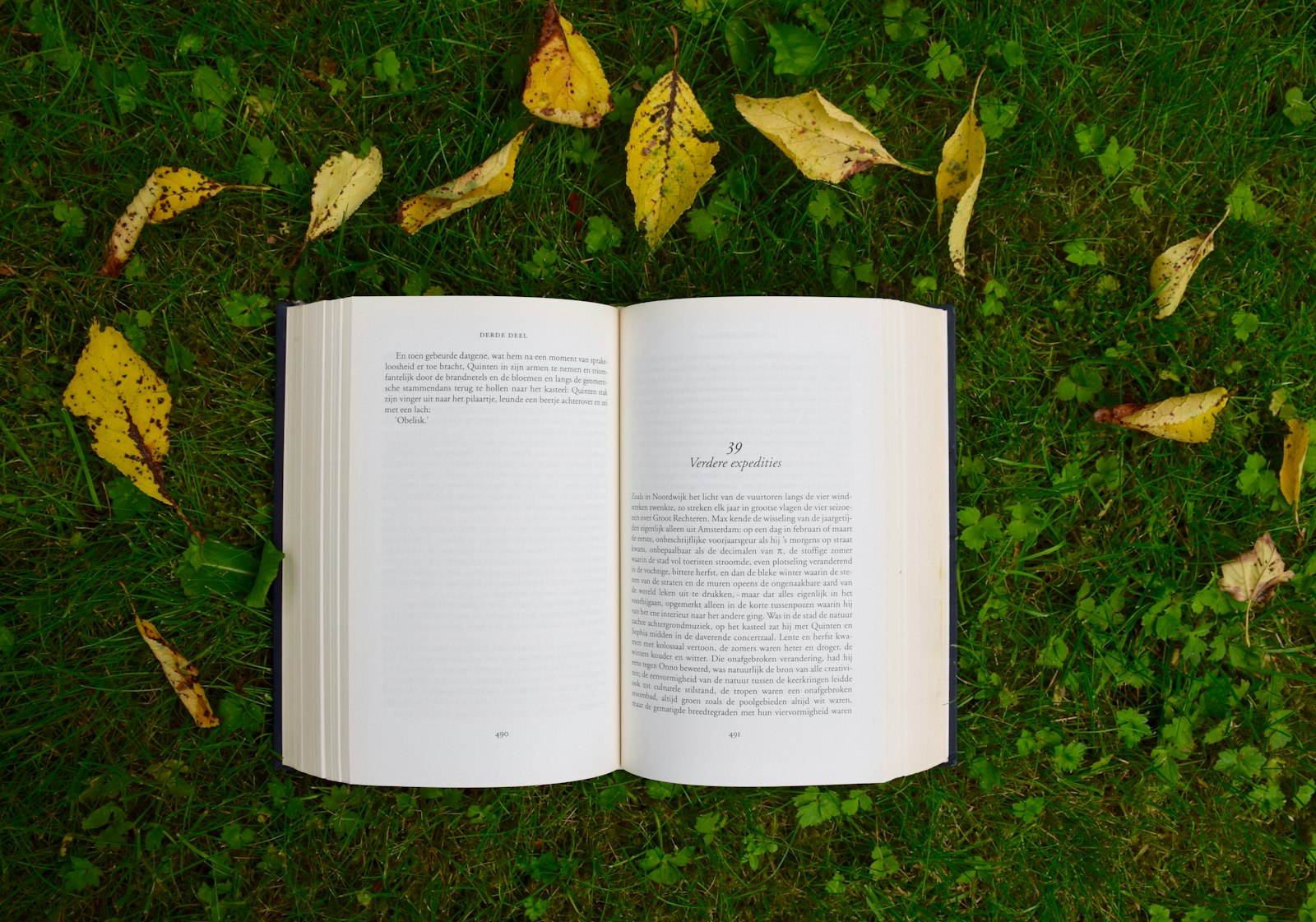 An open book lying on green grass among fallen leaves (placeholder photo)
