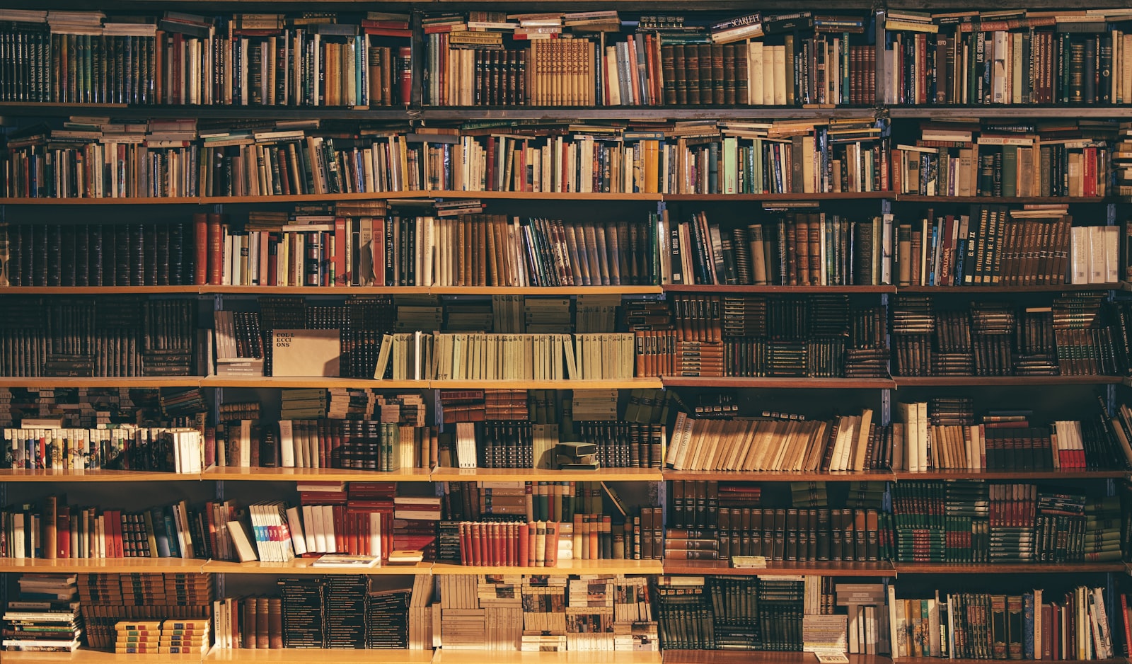 A wall of well-loved books on wooden shelves (placeholder photo)
